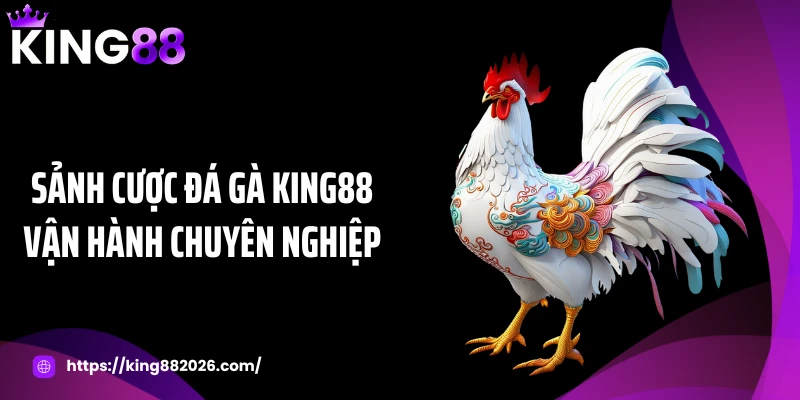 Sảnh cược đá gà KING88 vận hành chuyên nghiệp